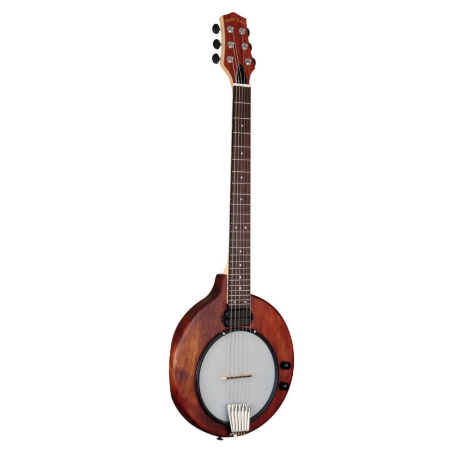 Goldtone EB-6 - Electric Banjitar