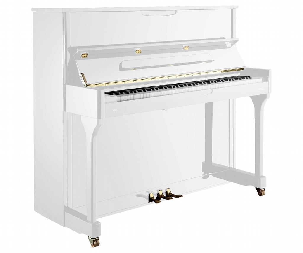 Johannes Seiler 118 Traditio Wit Hoogglans