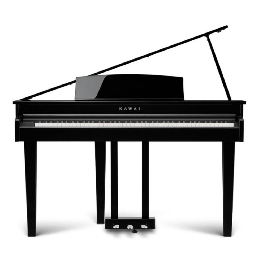 Kawai DG-30 Digitale Vleugel