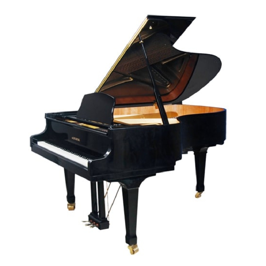 Kingsburg KG185 Silent Vleugel Occasion