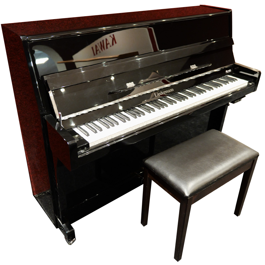 Liedermann LT109 Gebraucht Silent Piano