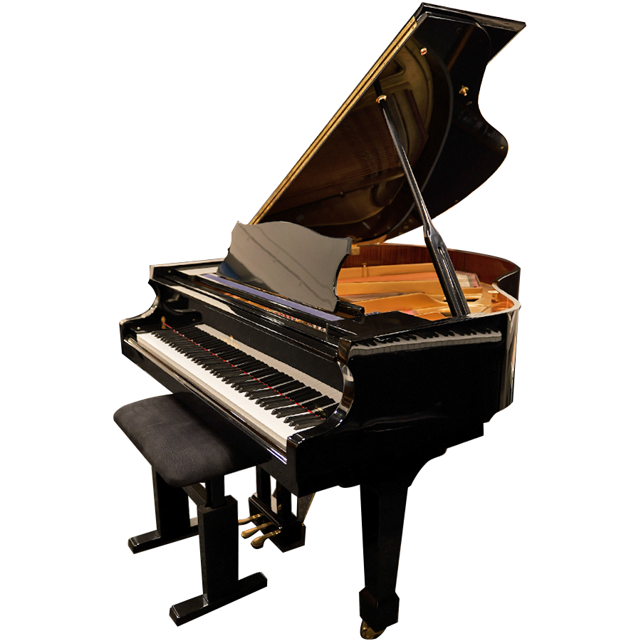 Ludwig&Hoff 160 Disklavier Vleugel