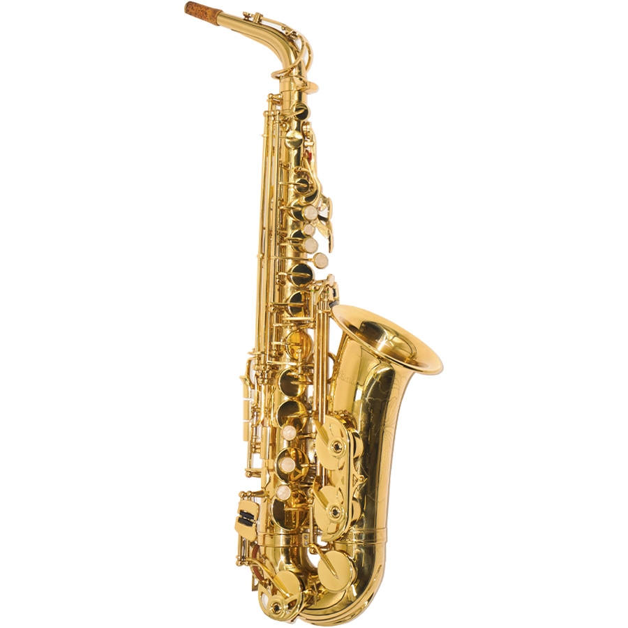 Main alto saxophone - Used