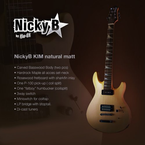 Nicky B SL 03 Elektrische Gitaar uit Nederland ! - Occasion