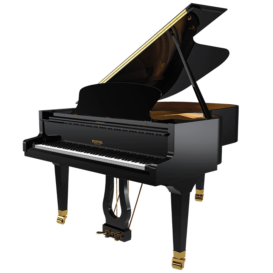 Pleyel P190BLK Vleugel