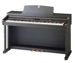 Sejung SJP-330 digitale piano - Occasion