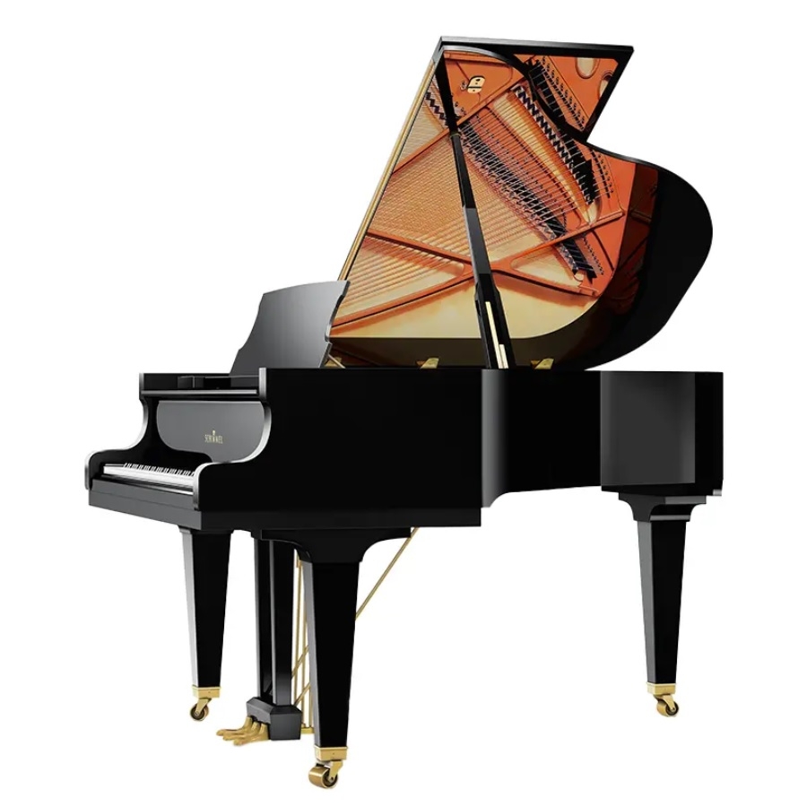 Schimmel C169T Tradition Vleugel