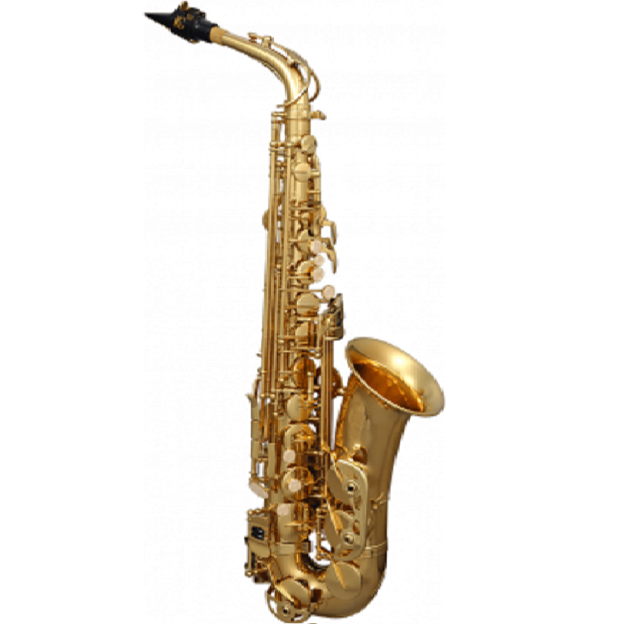 SML PARIS A420-II Alto Sax