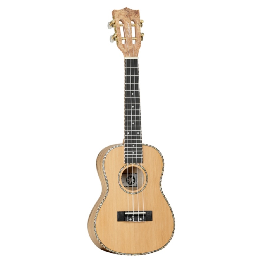 Tanglewood TWT11 - Concert Ukelele