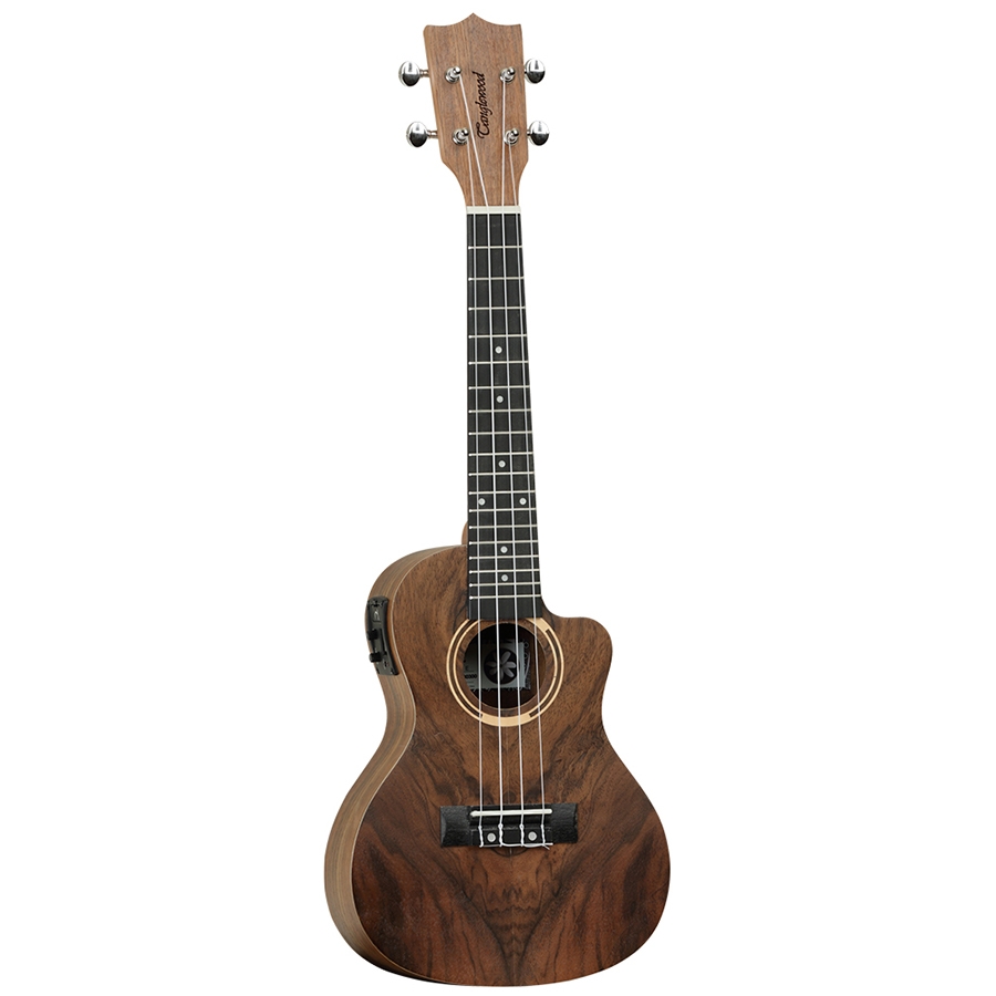 Tanglewood TWT21E - Concert Ukulele