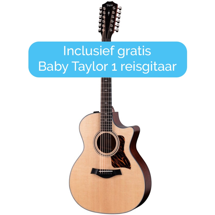 Taylor 354ce - 12-Snarig