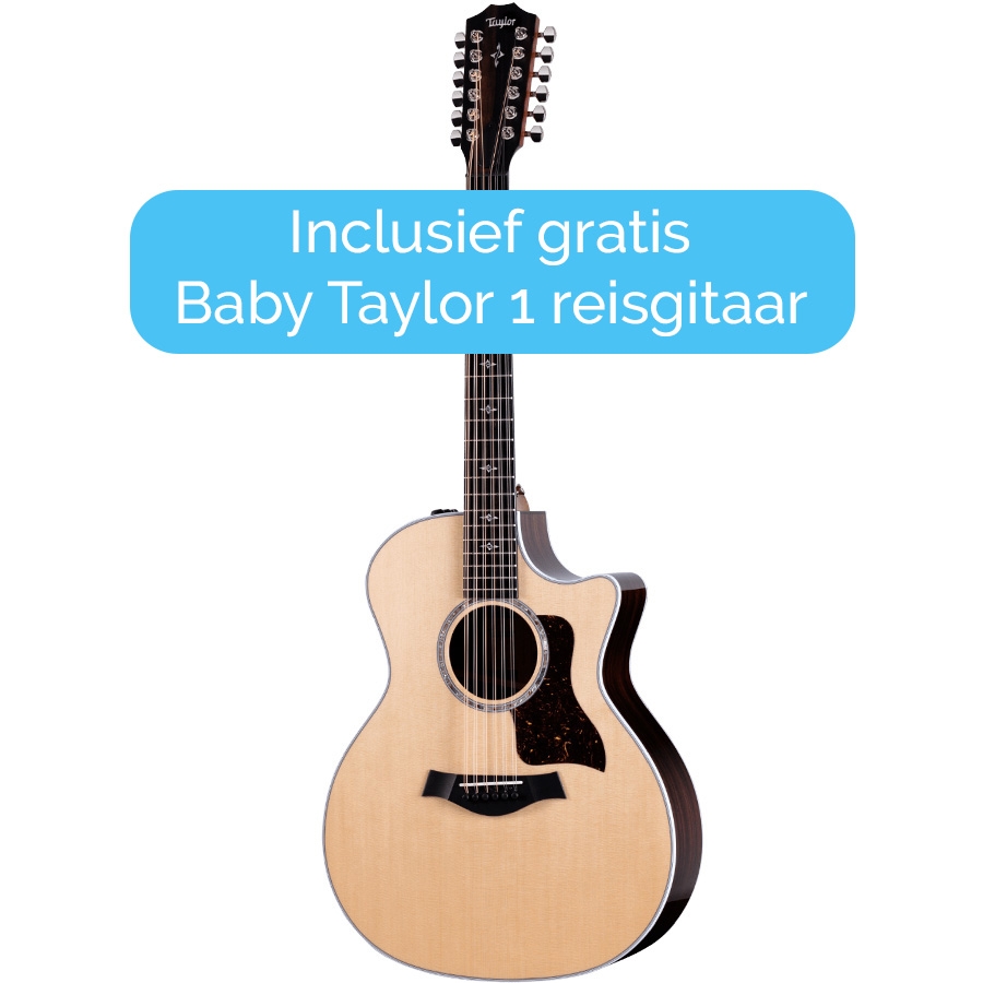 Taylor 454ce - 12-String