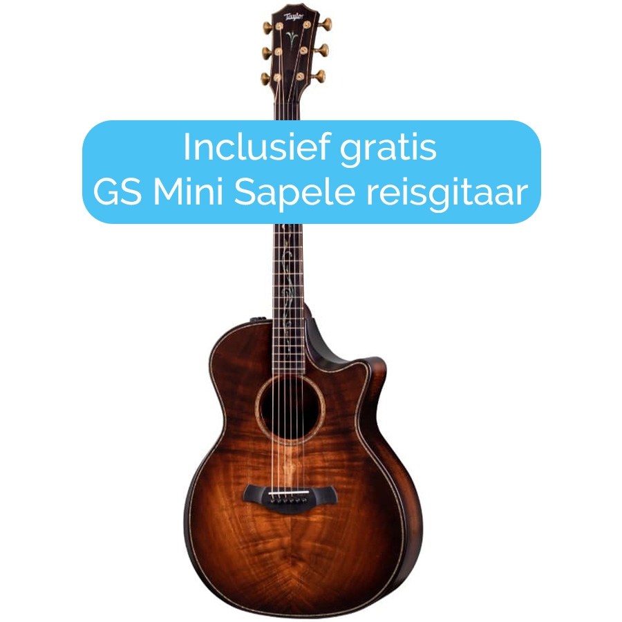 Taylor Builder's Edition K24ce