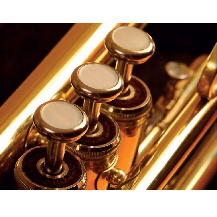 Other Brass Instruments