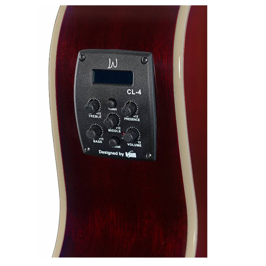 Elektronica van de James Neligan Bessie ACE