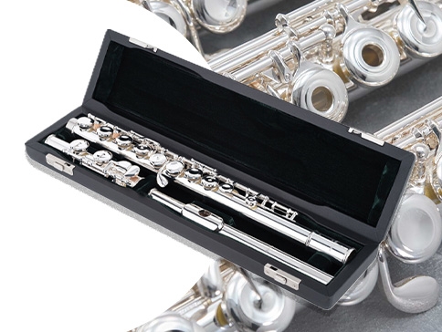 Pearl Quantz B665E-HC dwarsfluit in our range