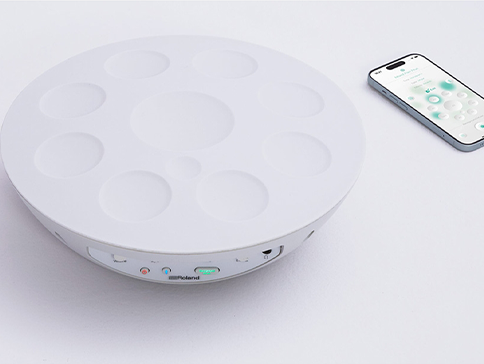  Nieuw: Roland MN-10 Mood Pan