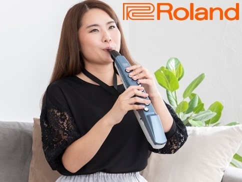 Rolands Aerophone jetzt bei Joh.deHeer erhältlich!
