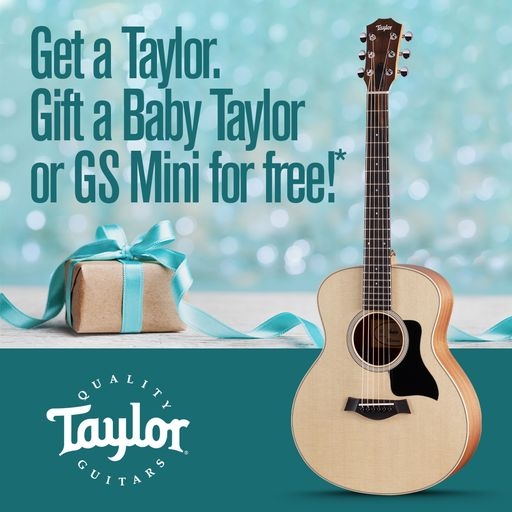 Taylor Aktion: Get One, Gift One!
