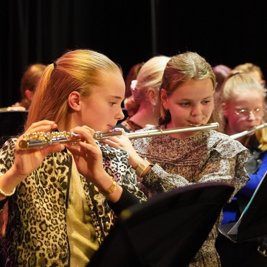 10 tips voor beginnende fluitisten - little-q-flutes1-scaled