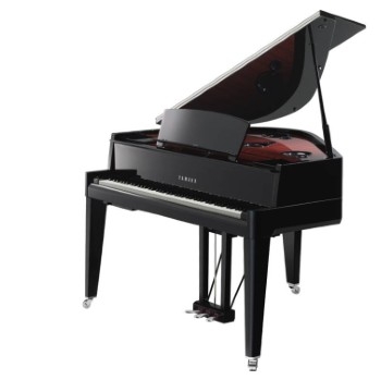 Buy a Electric Piano | Digital Piano? - vleugel3