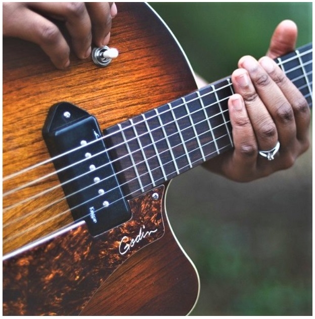 Godin  - godin_gitaar