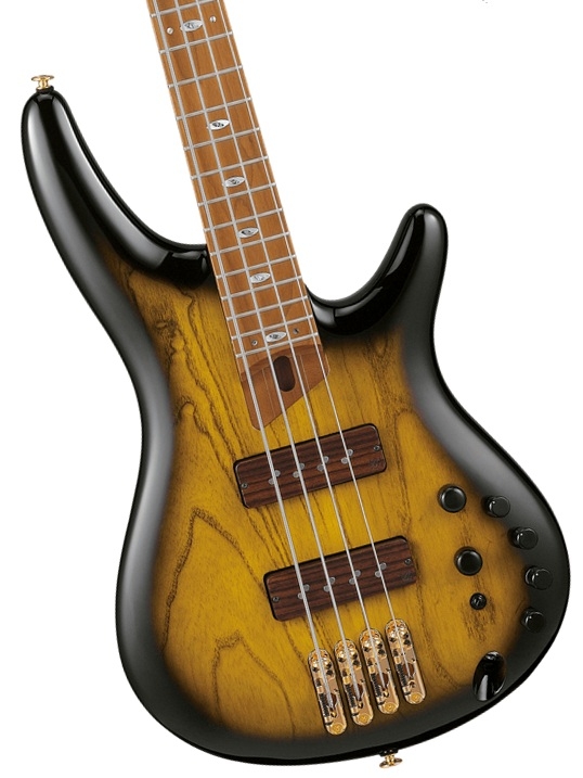 Ibanez Basgitaar - ibanezbasgitaar3