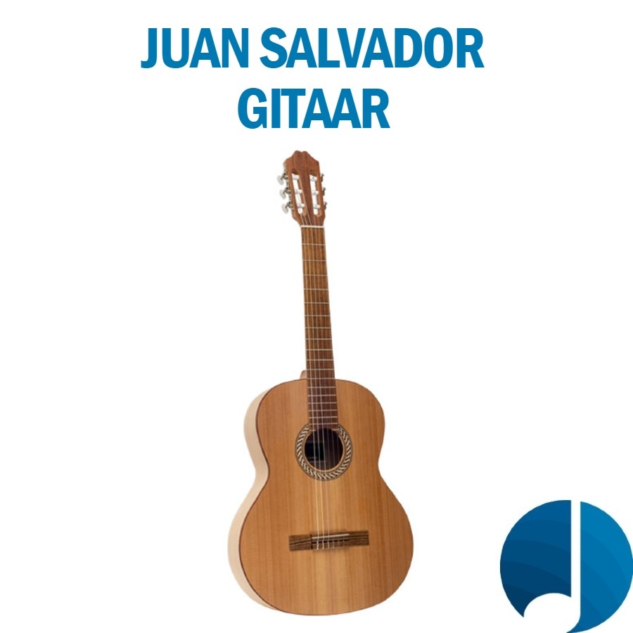 Juan Salvador Gitaar - juan_salvador_gitaar