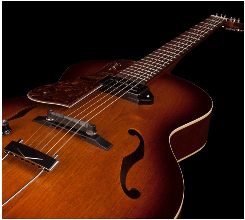 Linkshandige Gitaar - linkshandig_godin