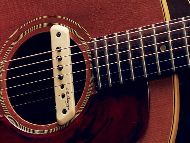 LR Baggs Pickup - lr_baggs_m1_actieve_klankgat-element(1)