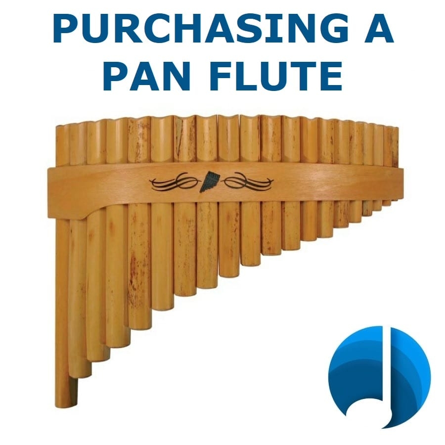 Purchasing a Pan Flute - panfluit-kopen-sketch1664017165965-min2-min
