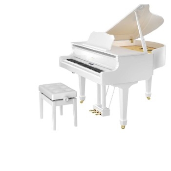 Roland Digitale Piano | Elektrische Piano - gp-serie(1)