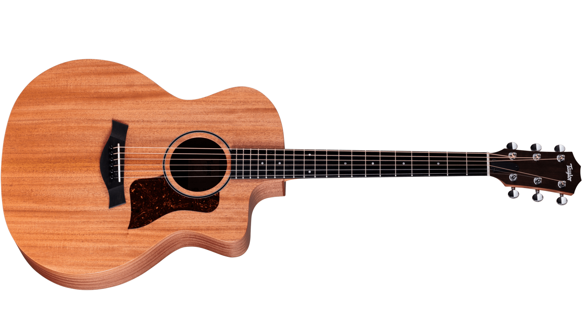 Taylor 14CE vs 24CE - taylor-24ce-ltd-2201145091-frontleft-2025