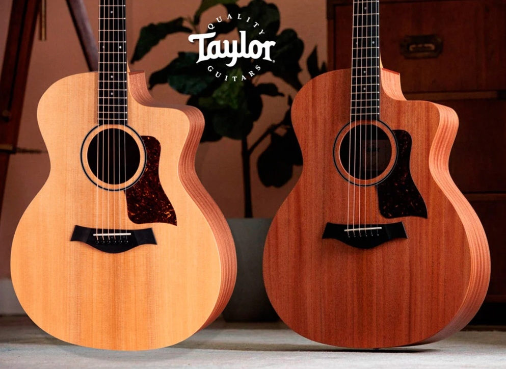 Taylor 14CE vs 24CE - taylor14ce24ce