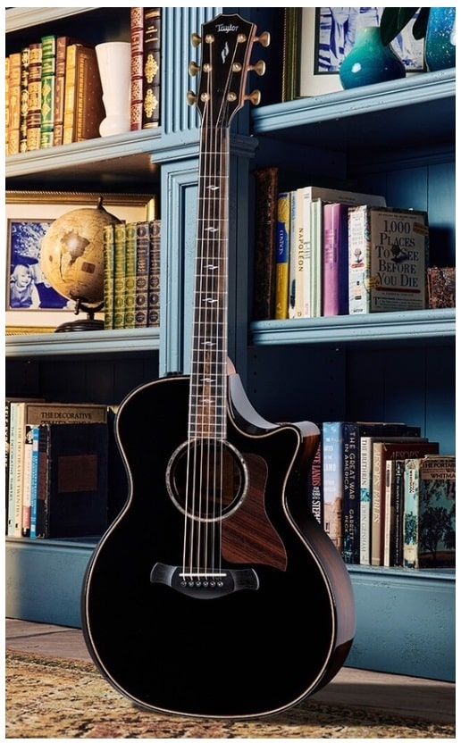 Taylor Gitaar Kopen - 800serie-min