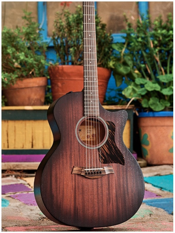 Taylor Gitaar Kopen - americandreamserie