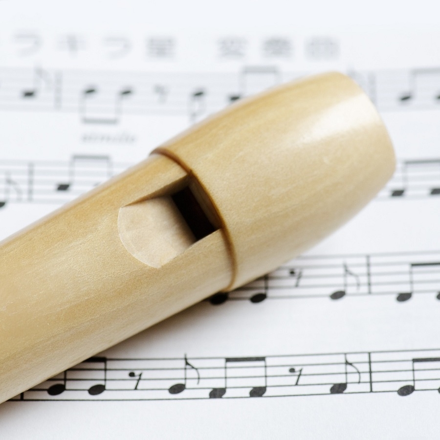 The best recorder for you! - blokfluit