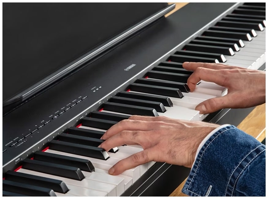 The Yamaha P-145 and the P-225 - yamahap145-225-min