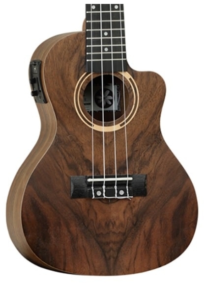 Toonhout: Eigenschappen en Klanken - raintree-min