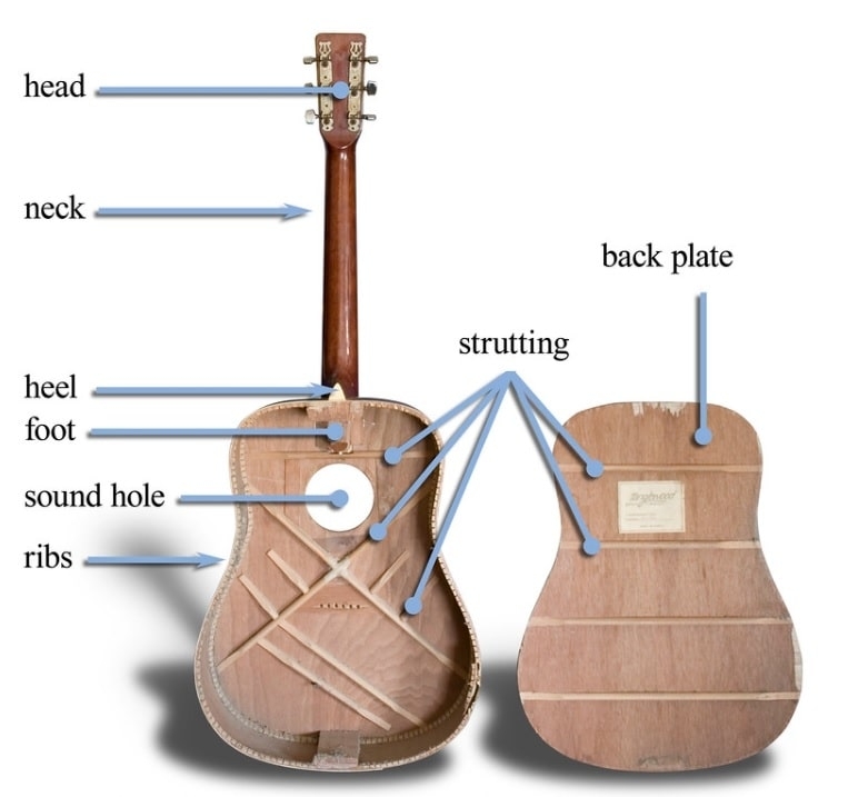 Toonhout: Eigenschappen en Klanken - toonhout-eigenschappen-en-klanken-gitaar_constructie-min
