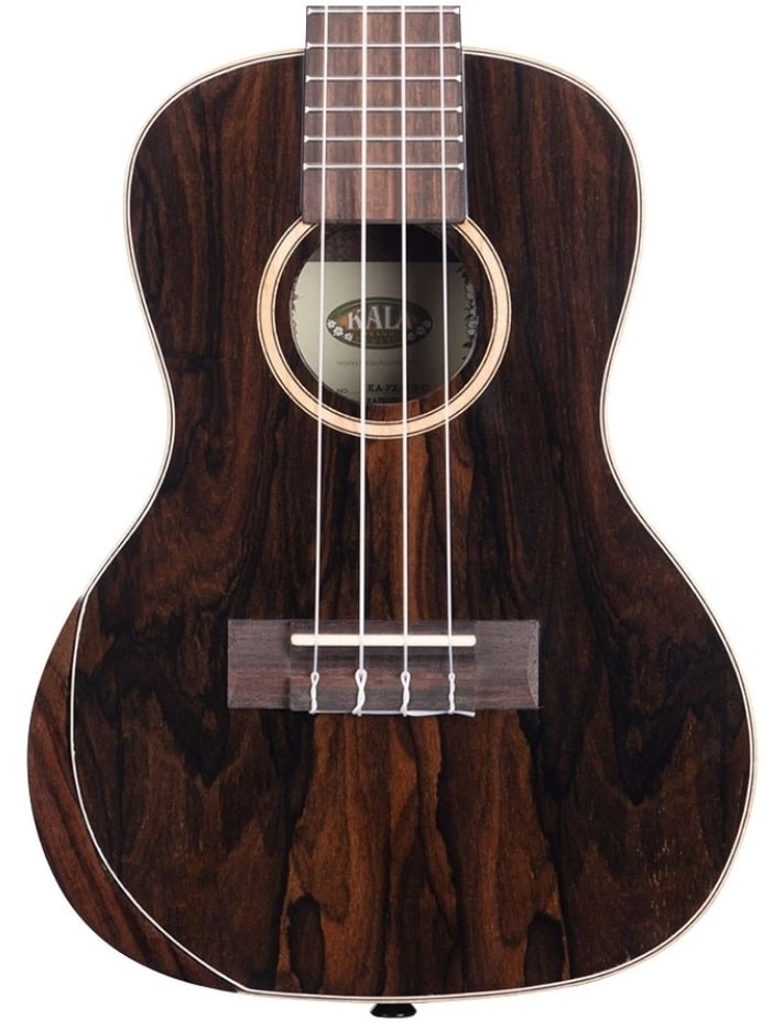 Toonhout: Eigenschappen en Klanken - toonhout-eigenschappen-en-klanken-ziricote-min