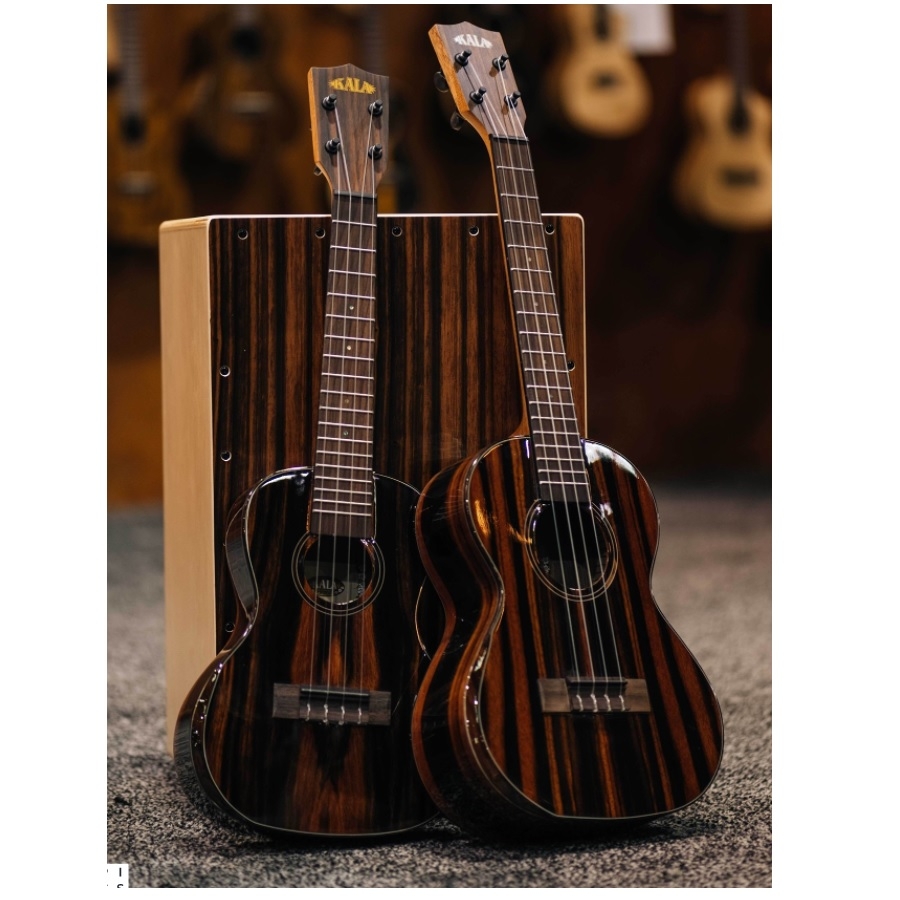 Ukelele Accessoires - ukeleles
