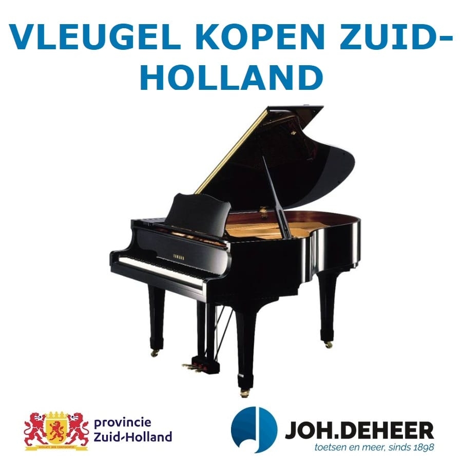 Vleugel Kopen Zuid-Holland - vleugel_kopen_zuid-holland-min