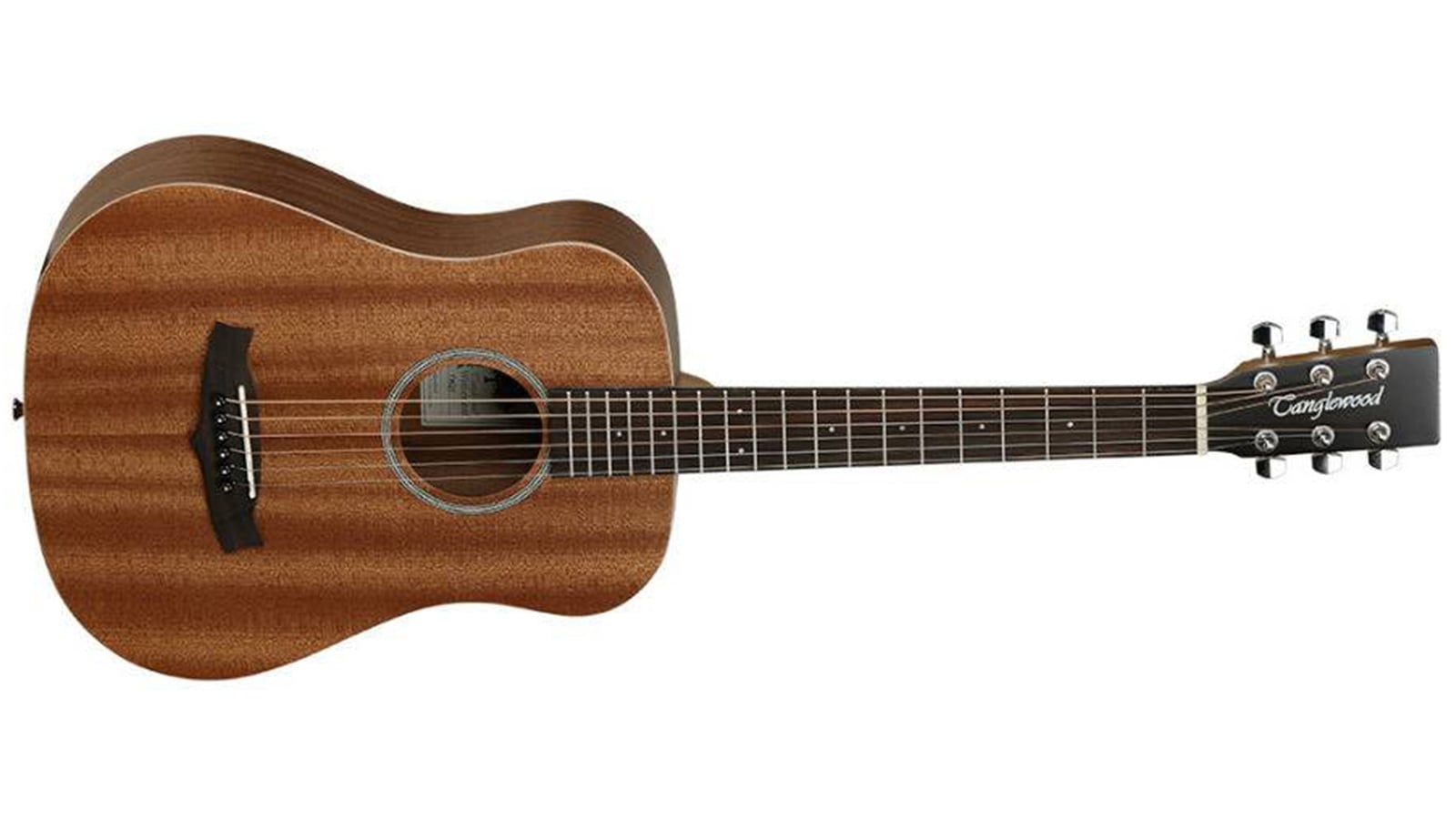 Western gitaar kopen - western-gitaar-kopen-tanglewood_winterleaf_t_1-min