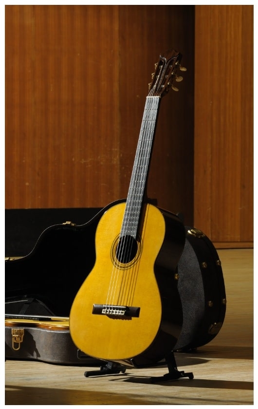 Yamaha Professionele Gitaar - yamahaprofessioneel2-min