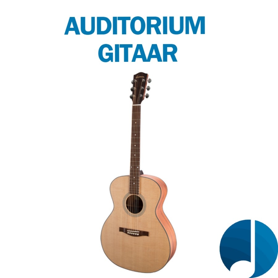 Auditorium gitaar