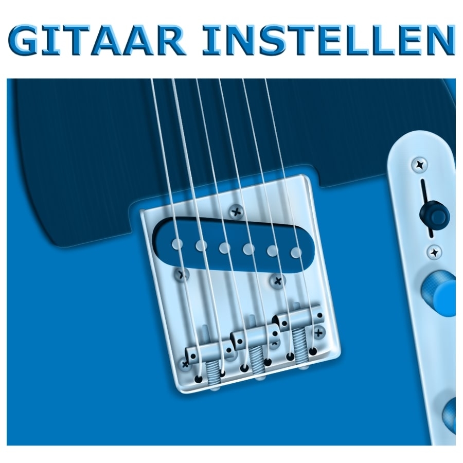 Gitaar Instellen