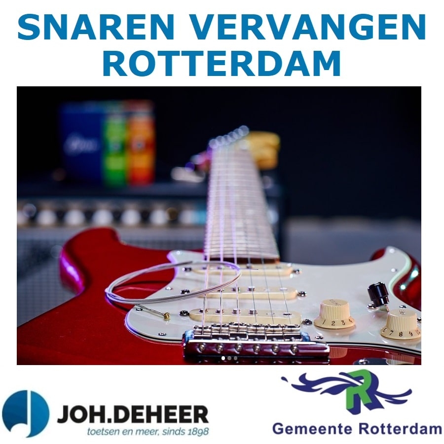 Snaren Vervangen Rotterdam