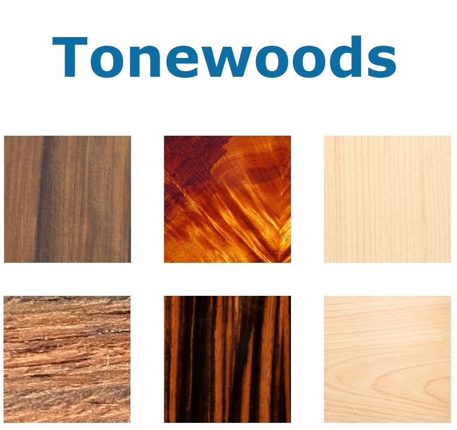 What are the different types of tonewoods? - Joh.deHeer!