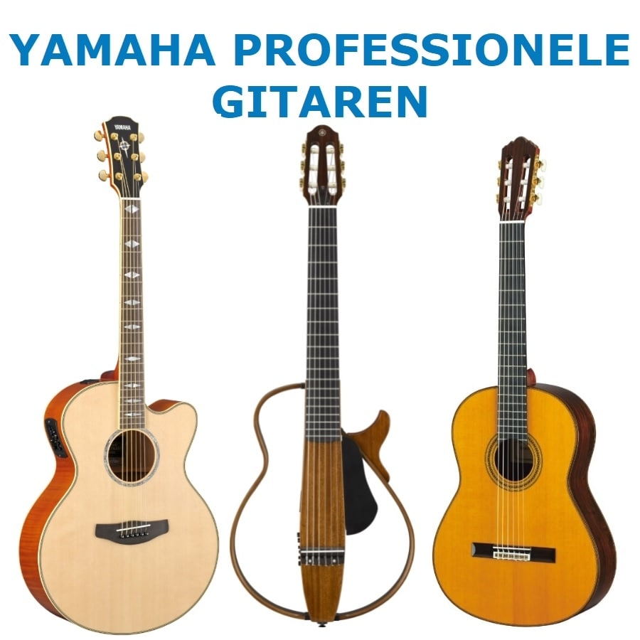 Yamaha Professionele Gitaar